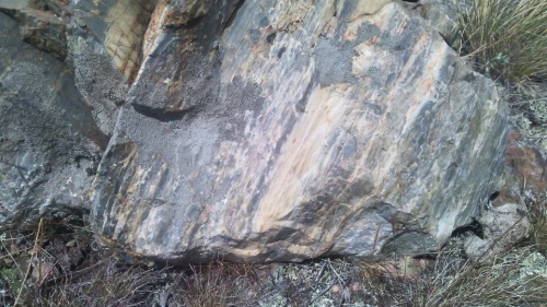 Гигантские зелёные валуны для ландшафтного дизайна весом более 5 тонн купить в Лосино-Петровском