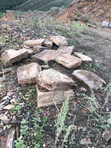 Пошаговая дорожка из плит златолит кора дерева купить в Лосино-Петровском